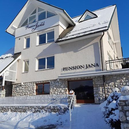 יילמניצה Pension Jana - Wellness מראה חיצוני תמונה